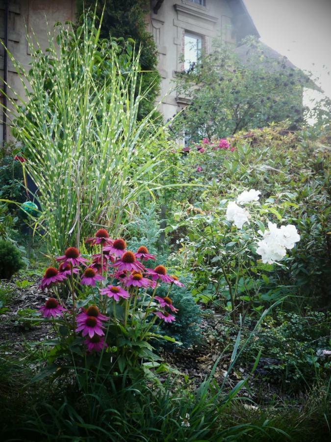 Venkovske Apartmany Tiche Pastviny Kamenicky Senov エクステリア 写真