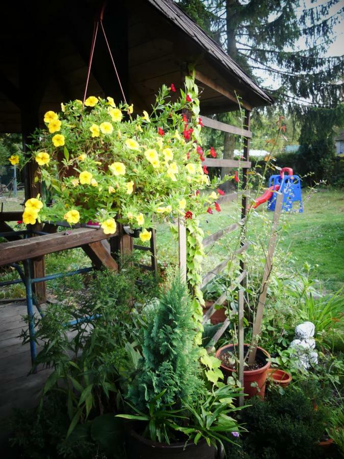 Venkovske Apartmany Tiche Pastviny Kamenicky Senov エクステリア 写真